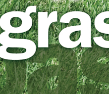 Grasspass