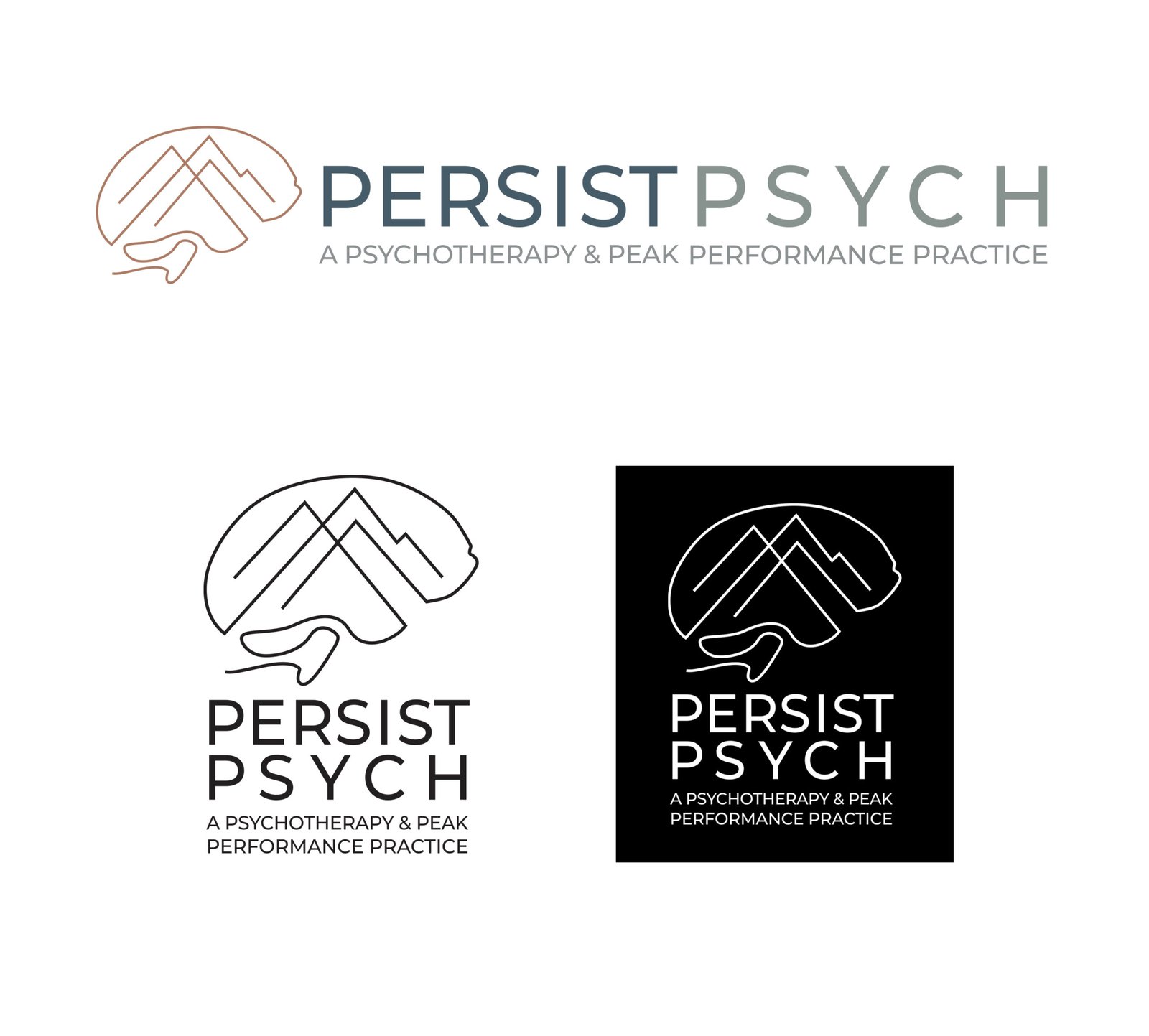 Persist Psych Logo